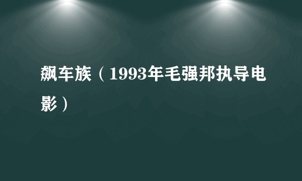 飙车族（1993年毛强邦执导电影）