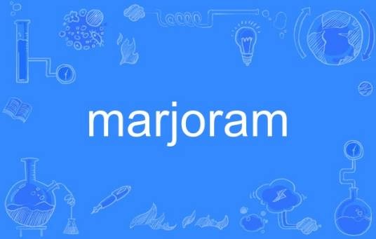 marjoram