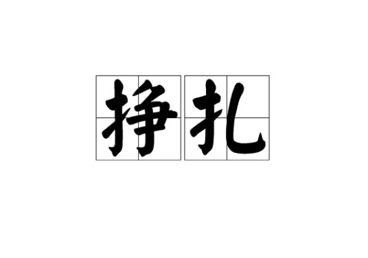 挣扎（汉语词汇）