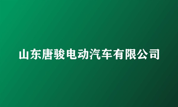 山东唐骏电动汽车有限公司