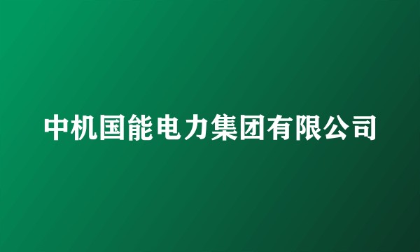 中机国能电力集团有限公司