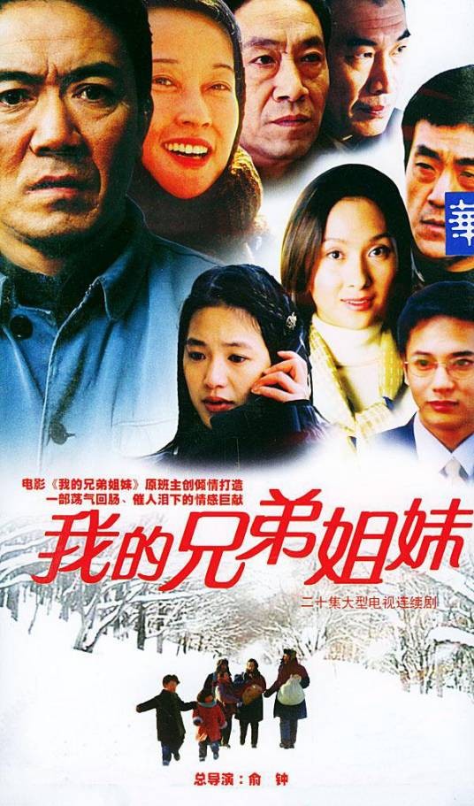 我的兄弟姐妹（2004年俞钟执导的都市家庭情感剧）