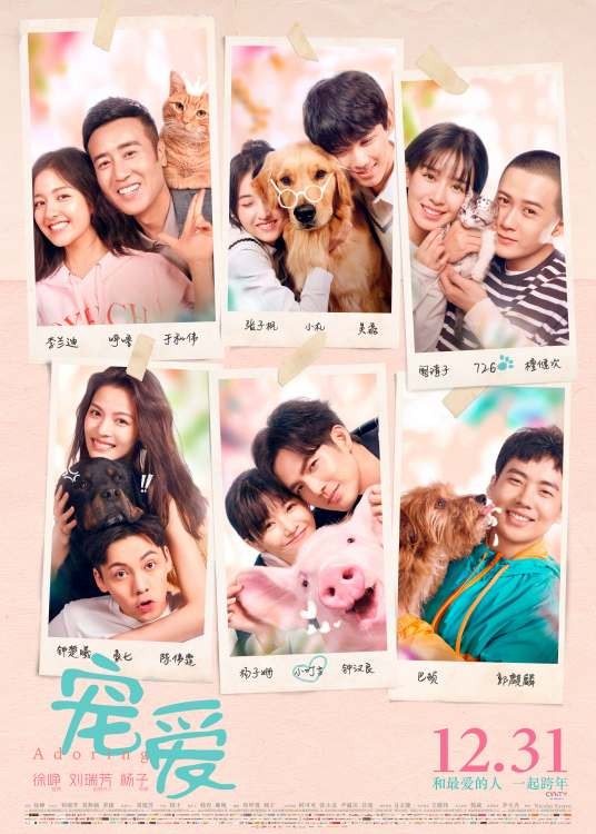 宠爱（2019年杨子执导的剧情片）