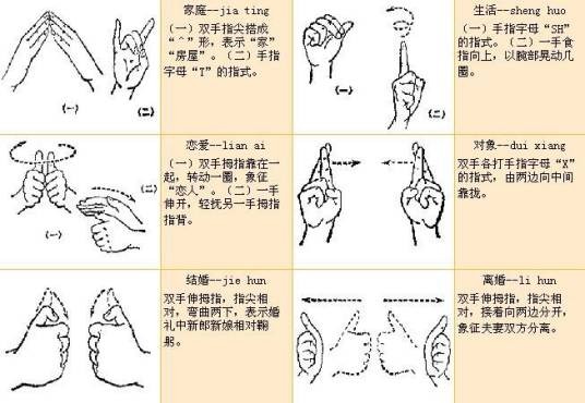手语（聋人交流方式）