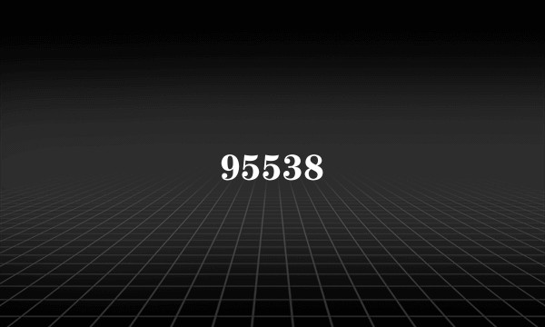 95538