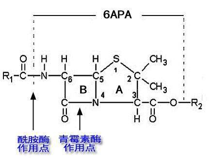 半合成青霉素