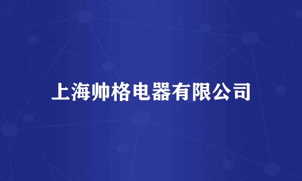 上海帅格电器有限公司