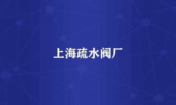 上海疏水阀厂