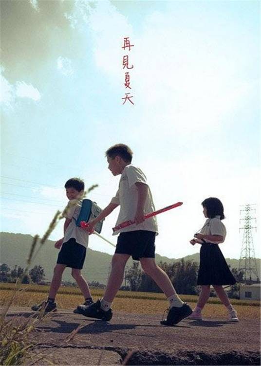 再见夏天(2010年林英作执导的电影)