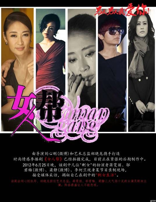女人帮（2013年刘心刚导演电视剧）