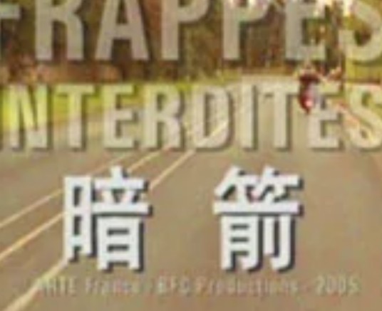 暗箭(法国2005年贝尔纳·马拉岱尔执导电影)
