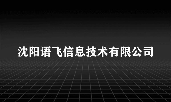 沈阳语飞信息技术有限公司