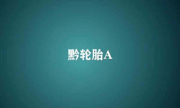 黔轮胎A