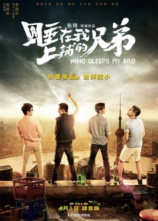 睡在我上铺的兄弟（2016年张琦执导的爱情电影）