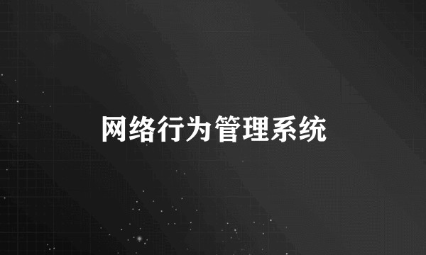 网络行为管理系统
