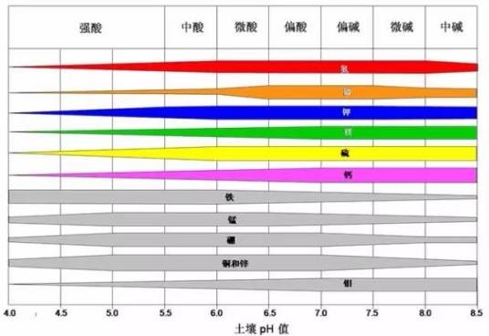 土壤酸碱度