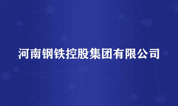 河南钢铁控股集团有限公司