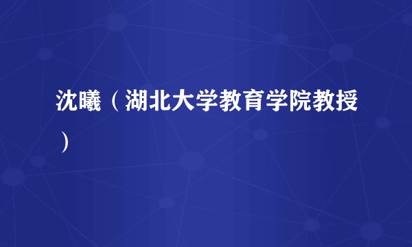 沈曦（湖北大学教育学院教授）