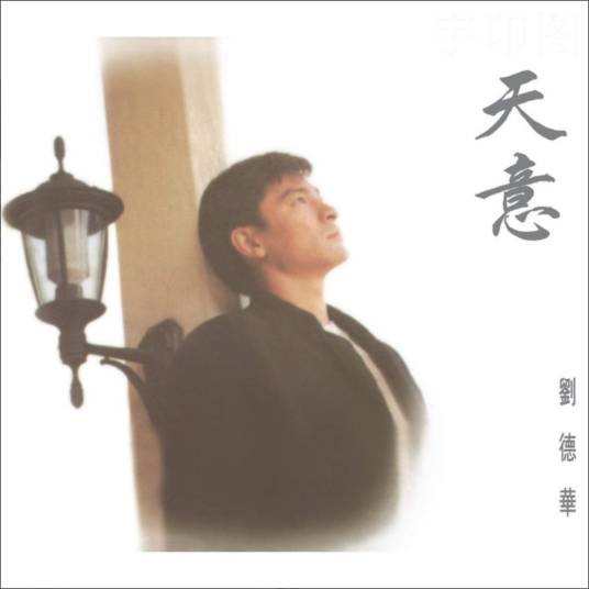 天意（刘德华演唱歌曲）