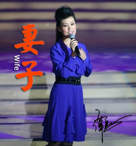妻子(谭晶演唱歌曲)