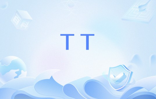 TT（网络用语）