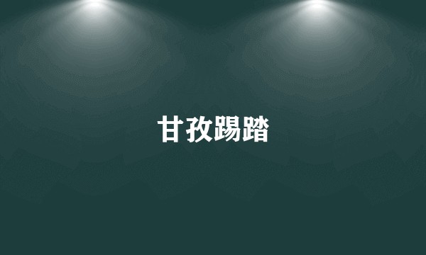 甘孜踢踏