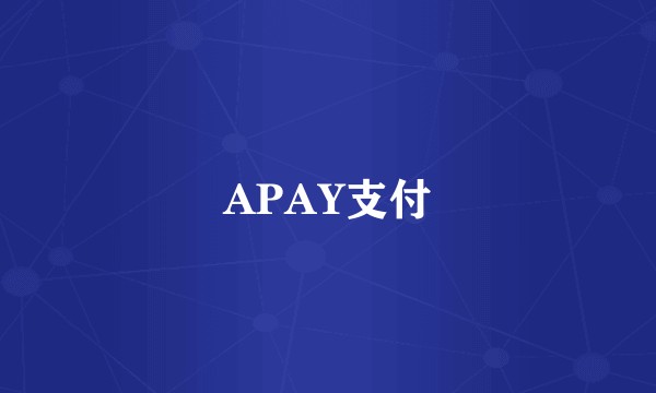 APAY支付