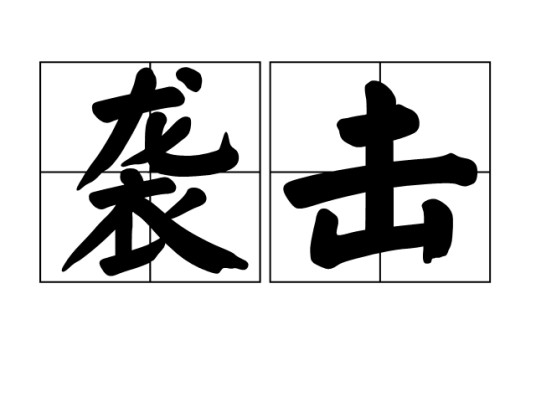 袭击(汉语词语)