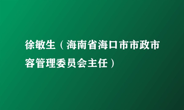 徐敏生（海南省海口市市政市容管理委员会主任）