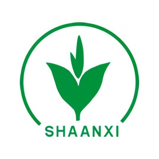 陕西人民教育出版社