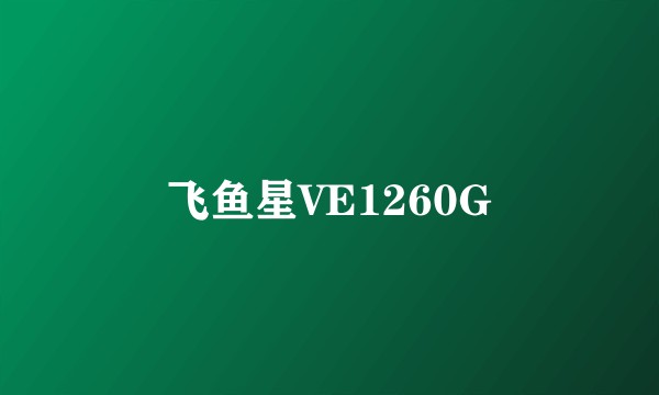 飞鱼星VE1260G