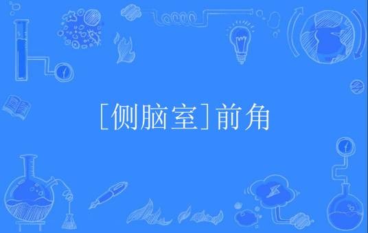 [侧脑室]前角