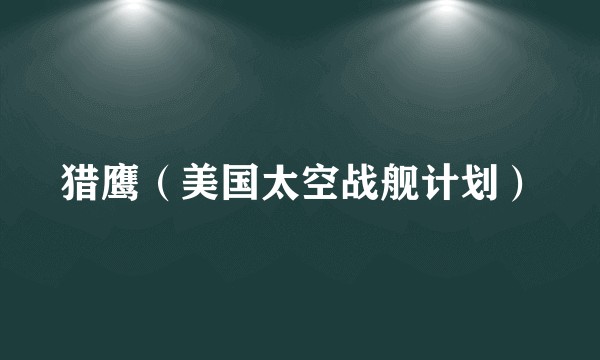 猎鹰（美国太空战舰计划）