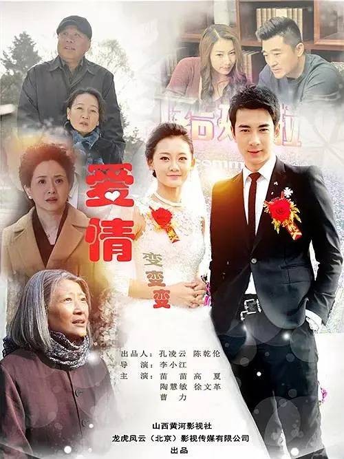 婚姻变奏曲(2018年孙亚舒、李小江执导的励志情感剧)