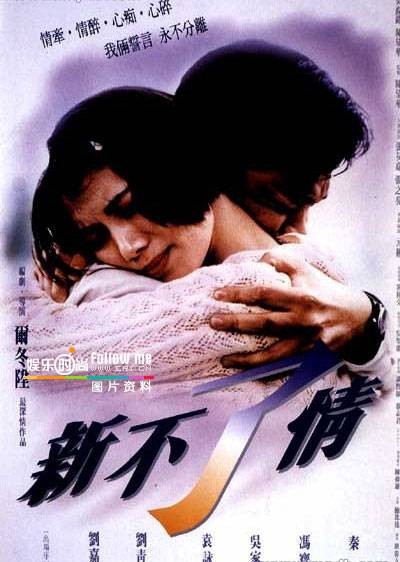 新不了情（2002年刘汉强主演电视剧）