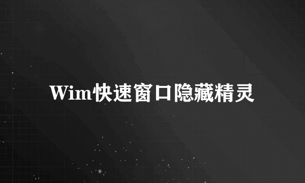 Wim快速窗口隐藏精灵