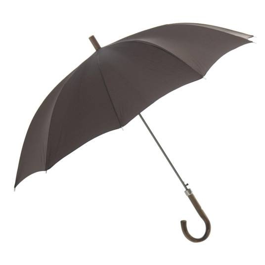 umbrellas（英文词汇）