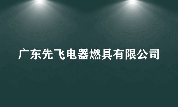 广东先飞电器燃具有限公司