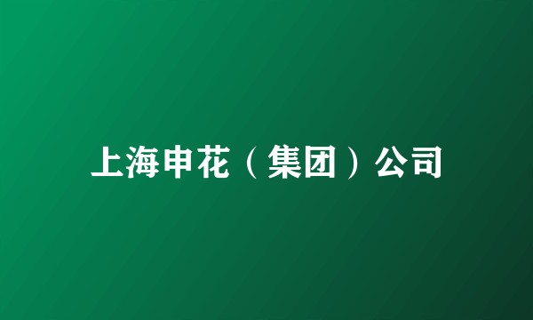 上海申花（集团）公司