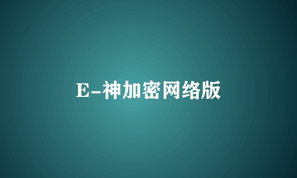 E-神加密网络版
