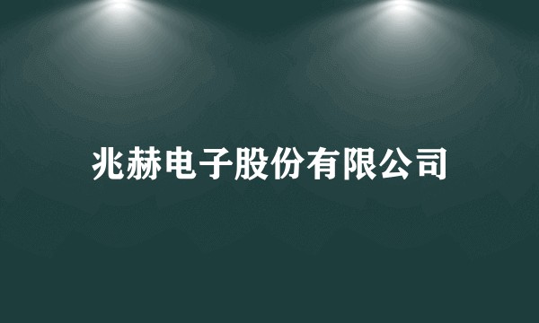 兆赫电子股份有限公司