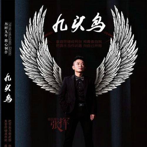 回家的路上（张挥演唱的歌曲）