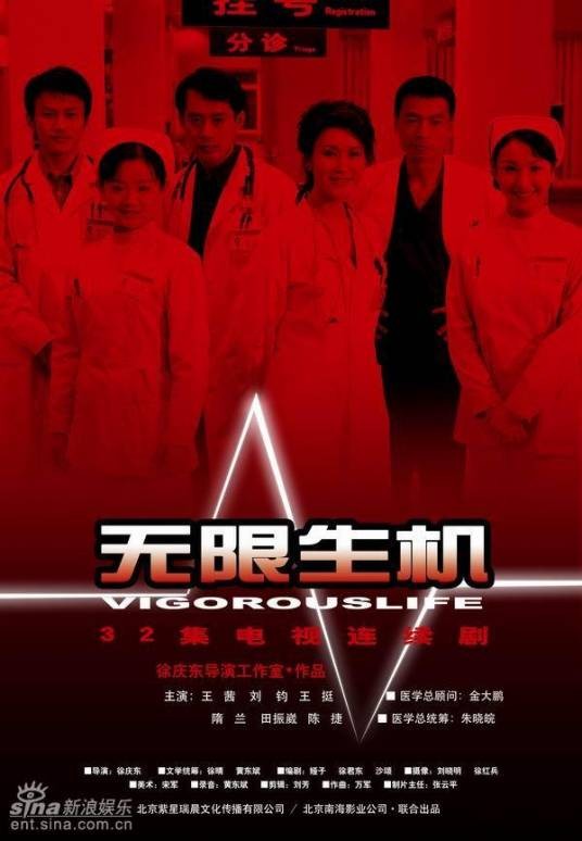 无限生机（2006年徐庆东执导的电视剧）