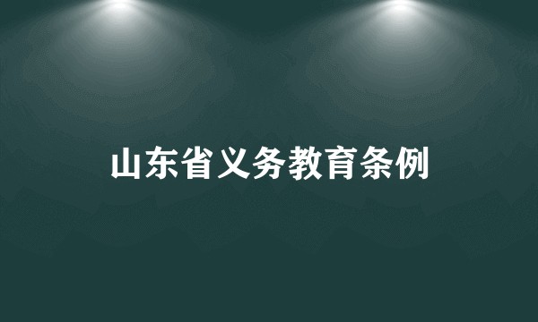 山东省义务教育条例