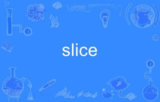 slice(英语单词)