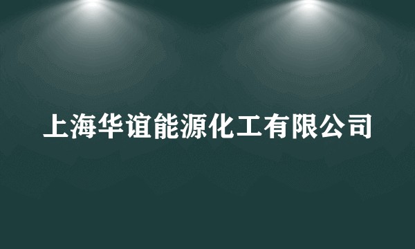 上海华谊能源化工有限公司