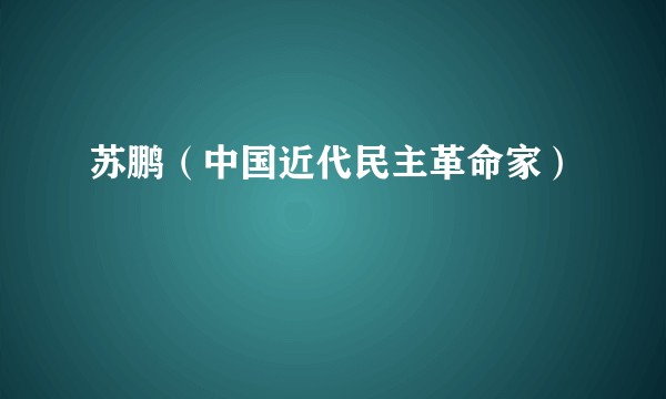苏鹏（中国近代民主革命家）