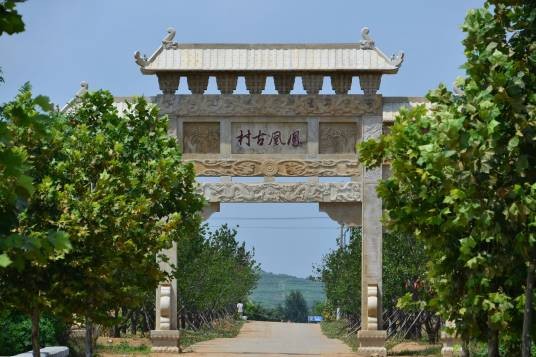 凤凰村(山东省青岛市即墨区金口镇凤凰村)