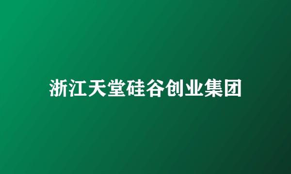 浙江天堂硅谷创业集团