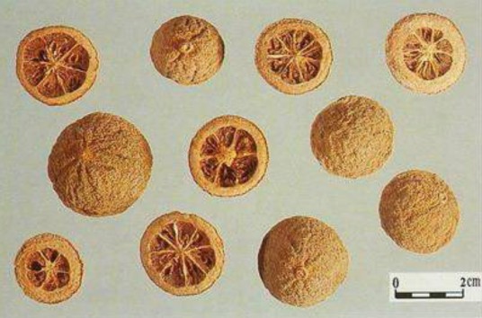 香橼（中药）